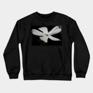 White Phlox Macro Crewneck Sweatshirt